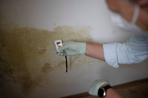 Four Bridges, OH Mold Remediation Company