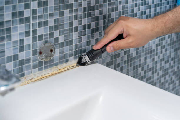 Best DIY Mold Remediation Support Services in Four Bridges, OH